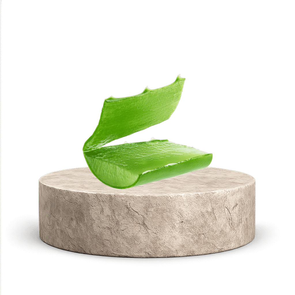 EKSTRAK ALOE VERA